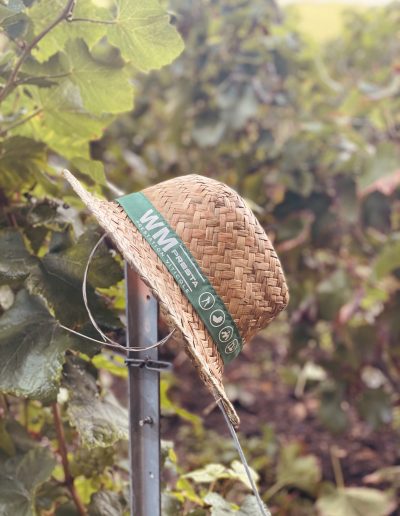 vendanges-champagne-vigne-wm-presta-prestataire-viticole