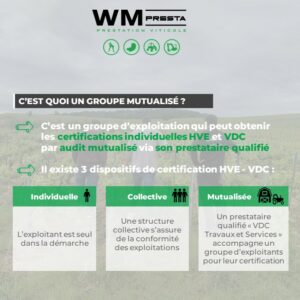 dispositifs-audit-mutualise-marne-aisne-wm-presta-certification-hve-label-vdc-haute-valeur-environnementale-viticulture-durable-champagne
