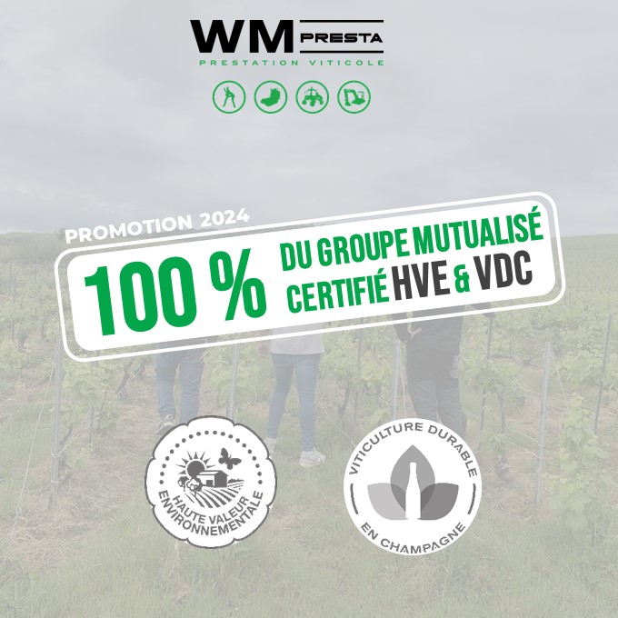 reussite-audit-mutualise-marne-aisne-wm-presta-certification-hve-label-vdc-haute-valeur-environnementale-viticulture-durable-champagne-2024